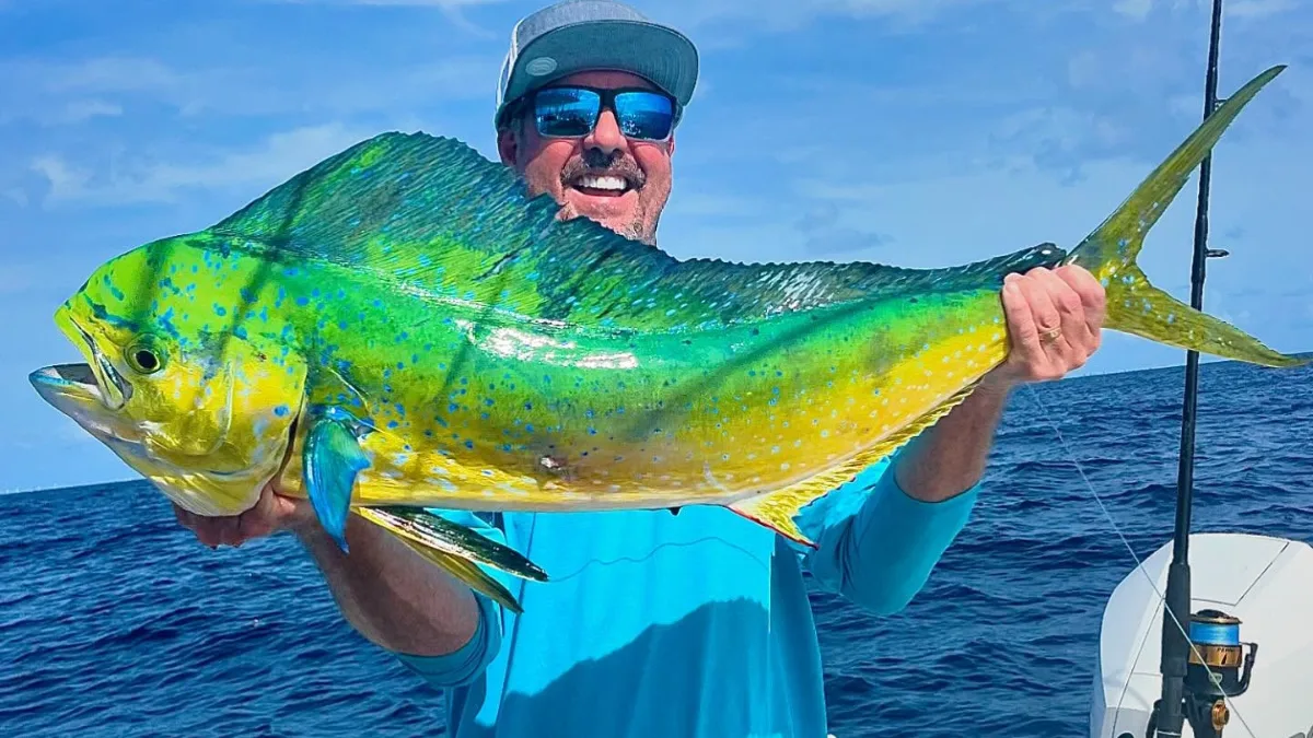 Angler holding a big mahi-mahi on an offshore fishing trip