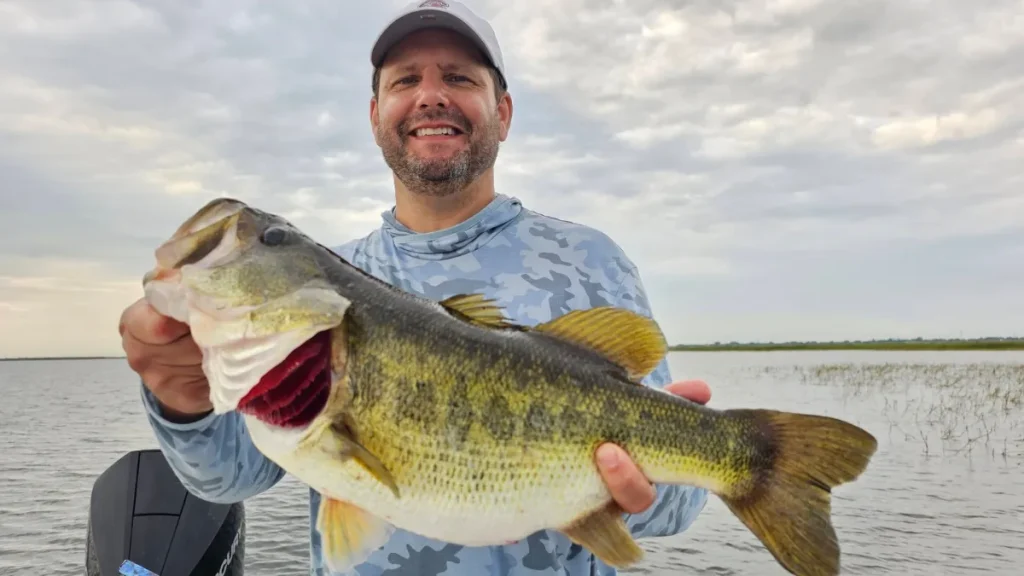 Angler holding a big largemouth bass on Lake Okeechobee with Capt. Mark Shepard