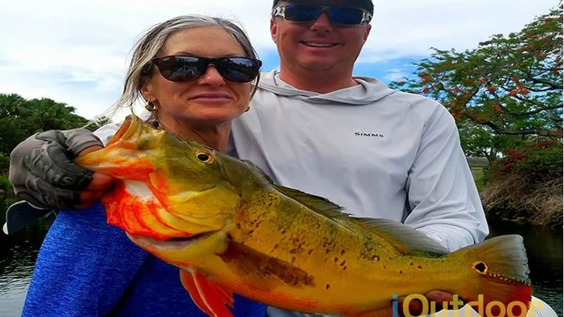 Couple holding a large peacock bass on a Miami peacock bass trip