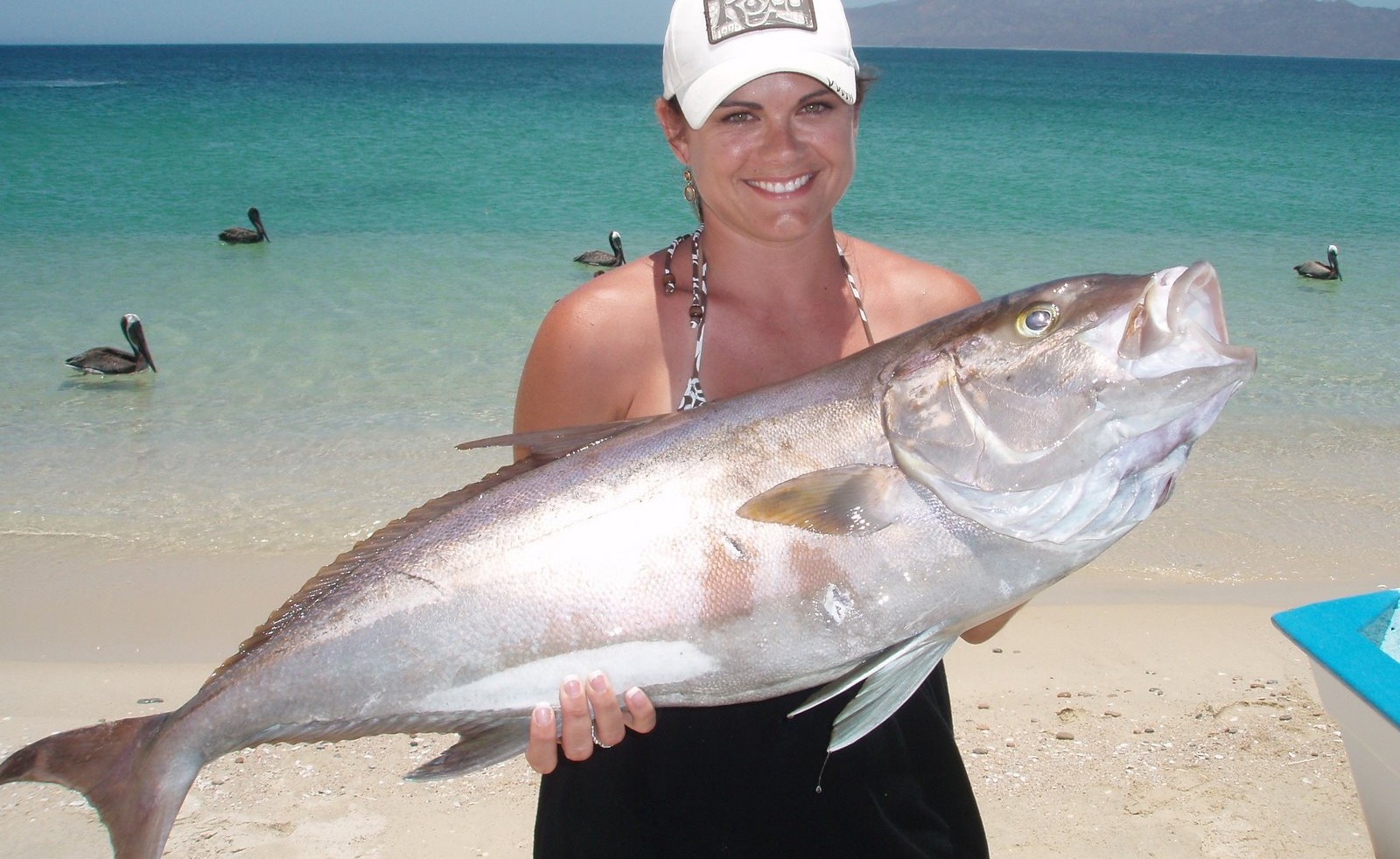 Fishing Charters in Marathon Florida