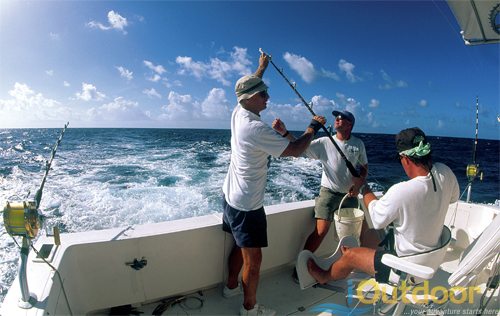 Florida Sport Fishing - iOutdoor Florida Sport Fishing Charters