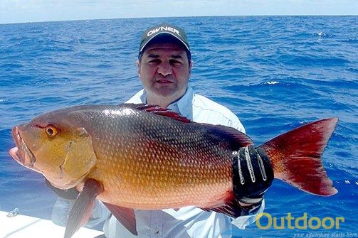 Red Snapper Florida 